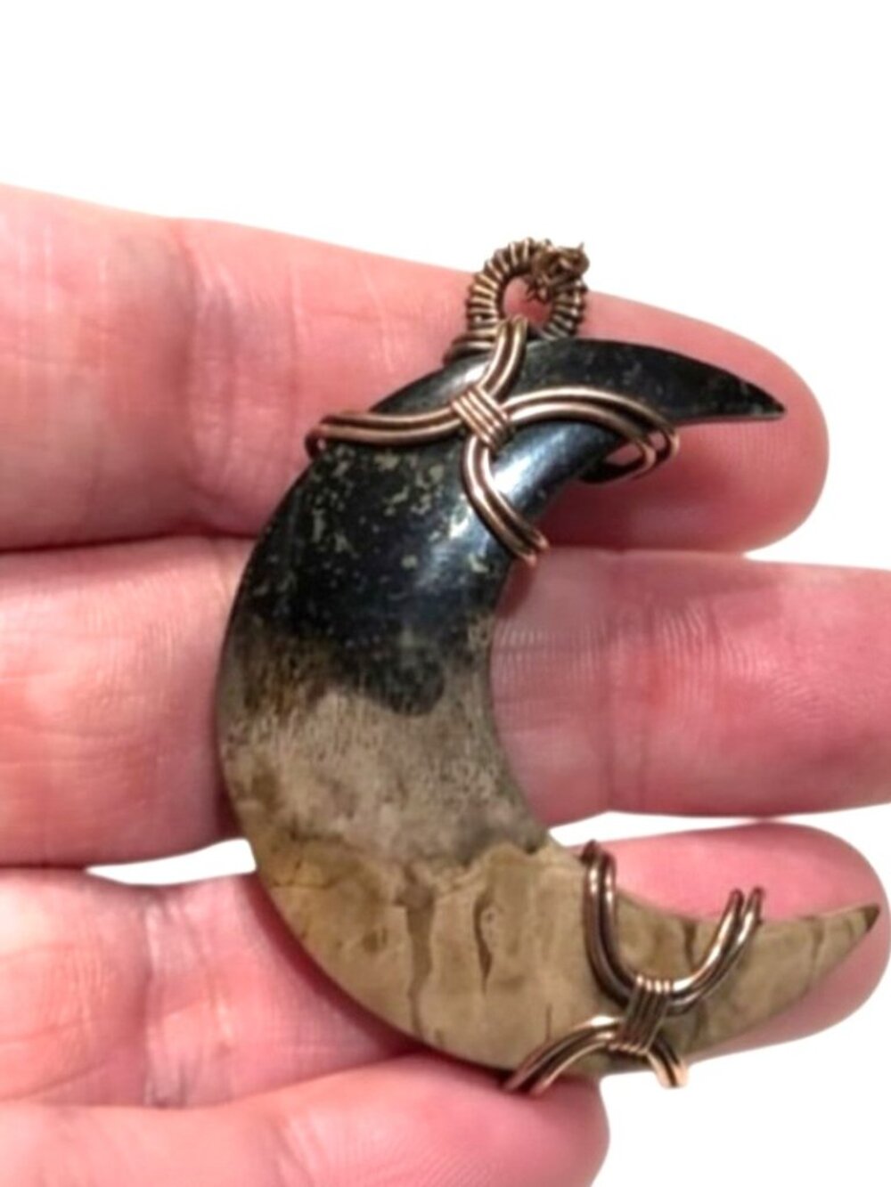 Petrified Palm Root Pendant, Unisex Fossil Necklace - Picture 5 of 12